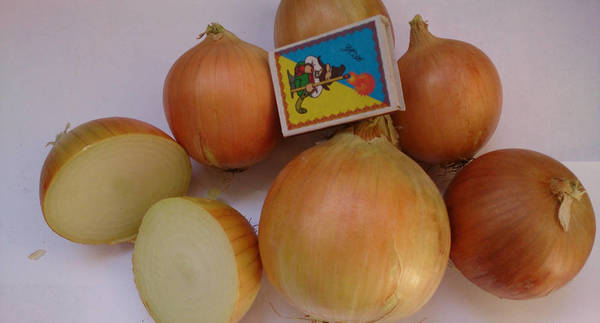 Фото Овощи борщевой группы(капуста, лук, свекла,морковь, картофел