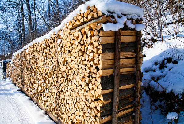 Фото Березовые дрова в Красноярске