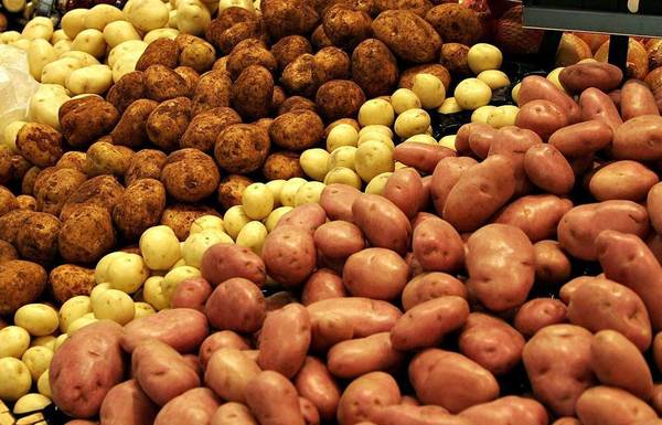 Фото Продаем семена картофеля