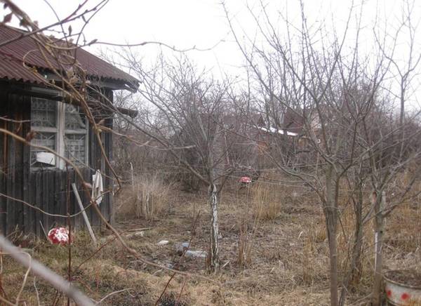 Фото 15 соток в деревне Зверково