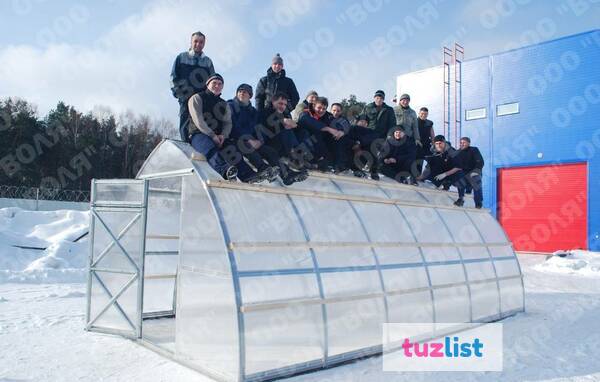 Фото Чудо Теплицы в Иваново