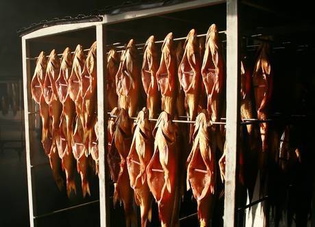 Фото Оборудование для переработки мяса-рыбы