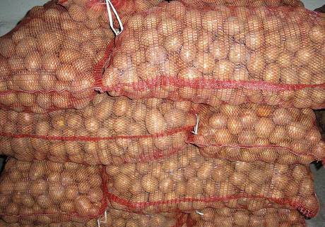 Фото Картофель отборный калибр 5 ,в сетках,от 20 тонн.