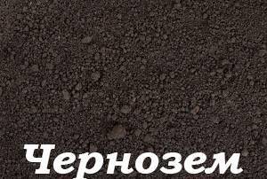 Фото Чернозем с доставкой по Краснодару и краю