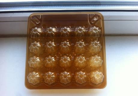 Фото Лотки для перепелиных яиц на (20) ячеек прозрачные коричнев