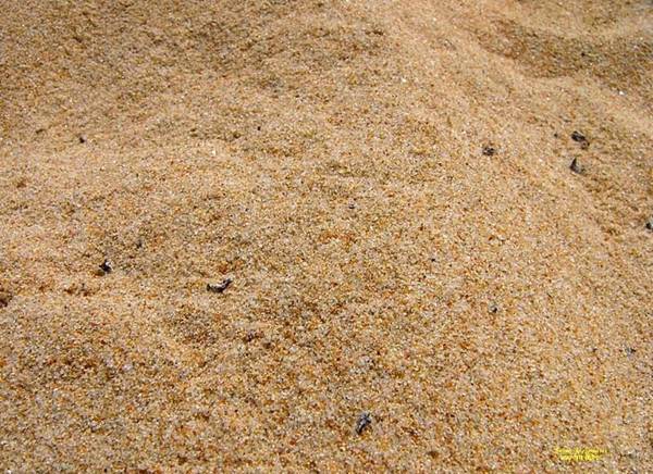 Фото Купить песок строительный (мытый) 0.4мм с доставкой