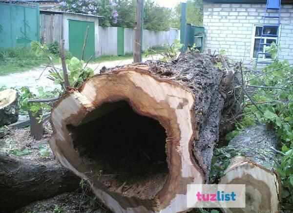 Фото Расчистка участков под Строительство Нижегородская обл.