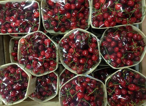 Фото Корзинки, лотки, лукошки для клубники и ягод