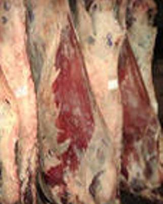 Фото Мясо говядина охлажденное