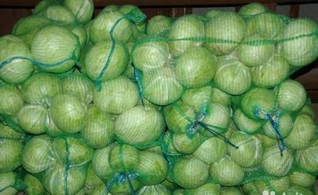 Фото Оптовая продажа и поставка капусты от 20 тонн
