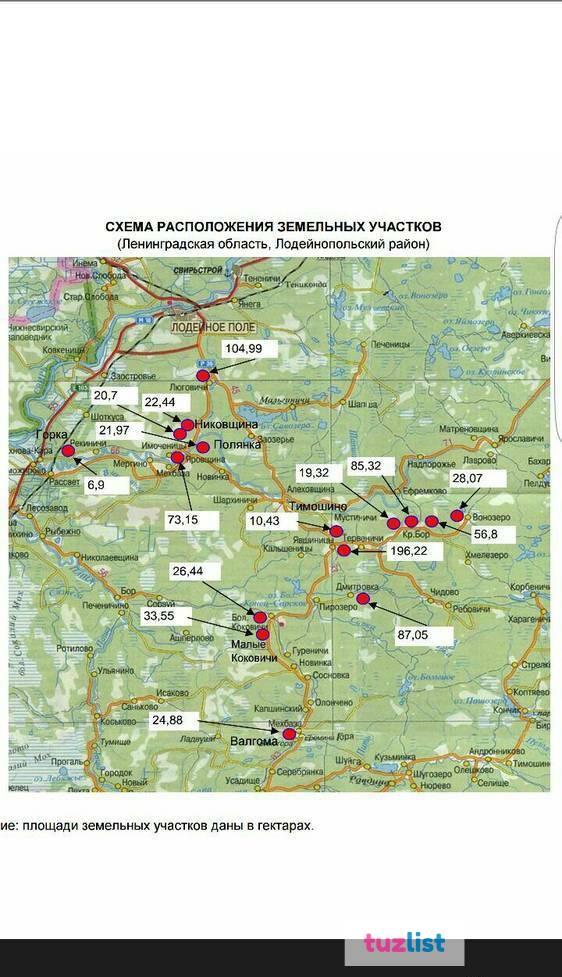 Фото 1000га ЛПХ земли в Ленинградской области .