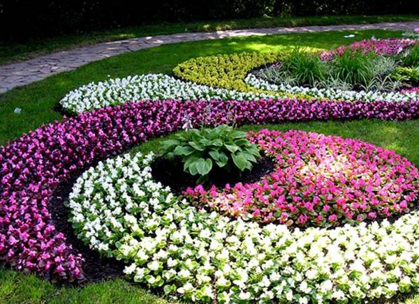 Фото Клумбы, цветники, благоустройство, газон