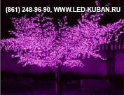 Фото Светящиеся уличные LED деревья
