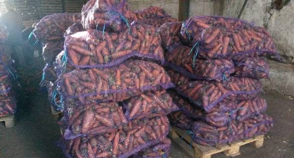 Фото Морковь столовая оптом от 20 тонн в г.Кемерово