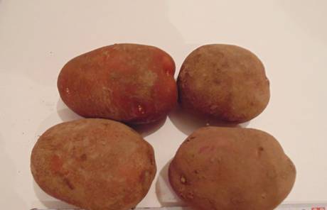 Фото Реализуем продовольственный картофель