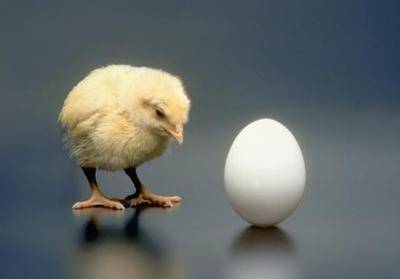 Фото Мук-Я, мытье яиц птицы на предприятиях промышленности