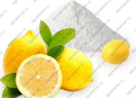 Фото Лимонная кислота