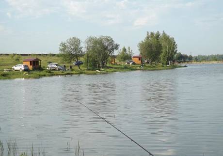 Фото Продажа зарыбленного пруда для платной рыбалки и отдыха