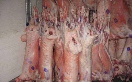 Фото Мясо баранины свежее охлажденное