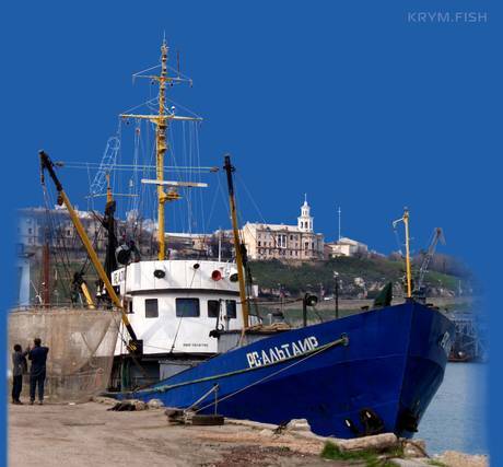 Фото Крым Рыба - оптовый склад рыбы и морепродуктов