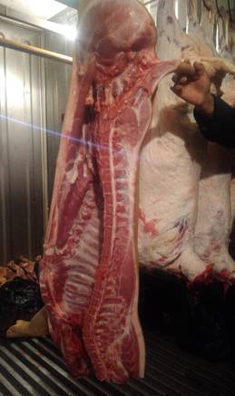 Фото Реализуем оптом и в розницу охлажденное мясо свинины полутуш