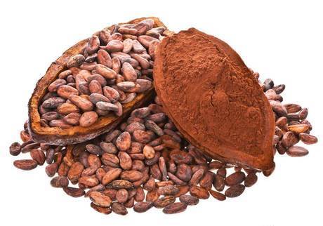 Фото Оптовая продажа какао бобов