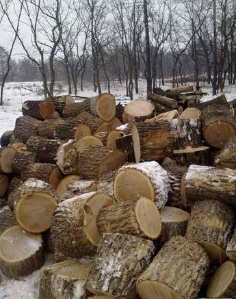Фото Дрова твердых пород деревьев с доставкой