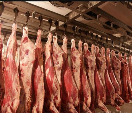 Фото Продам мясо оленя оленину оптом