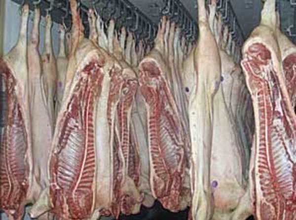 Фото Мясо, опт, свинина, говядина, ливер