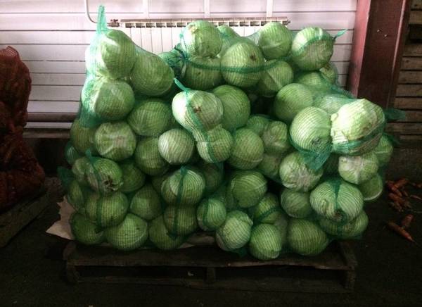 Фото Продам капусту оптом от 20 тонн в г.Кемерово
