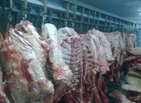 Фото Мясо говядины зам,полутуши 1кат