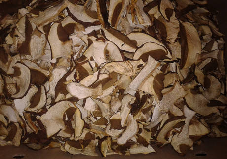 Фото Грибы сушёные белые,лисички,подосиновики Солёные грибы