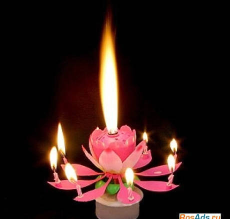 Фото Музыкальная свеча для торта "Лилия"