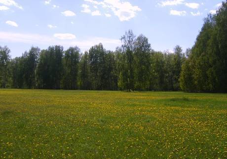 Фото Сельскохозяйственная земля Каслинский район, озеро Аллаки и