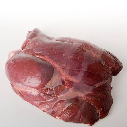 Фото Мясо: Оленина, окорок (окорок оленя)