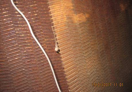 Фото Стальная конвеерная лента , ш400мм дл.12м