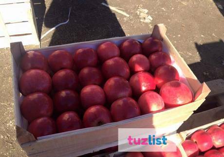 Фото Деревянные ящики для яблок в Крыму от производителя