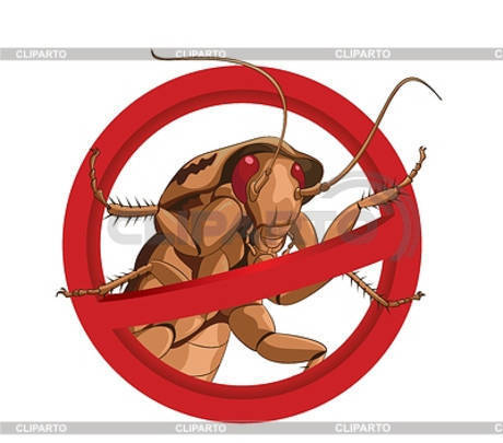 Фото Фрязино Уничтожение клопов тараканов Нано технологиягарантия