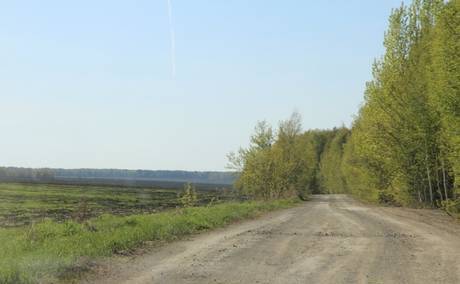 Фото Продам земельный участок 2 Га в с. Мезенское в 43 км от Екат