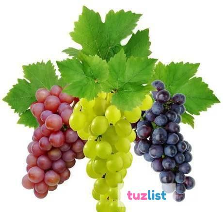 Фото Саженцы винограда светлых, темных сортов, черенки винограда
