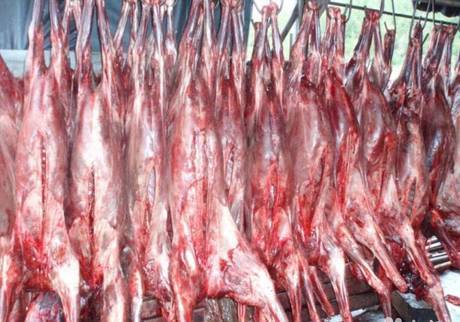 Фото Продаем диетическое мясо дикого Камчатского Лося, мясо свеже