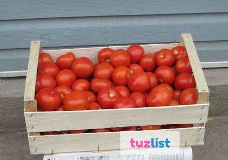 Фото Деревянные ящики для упаковки помидоров.Крым