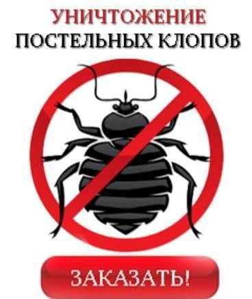 Фото Уничтожение тараканов в Москве