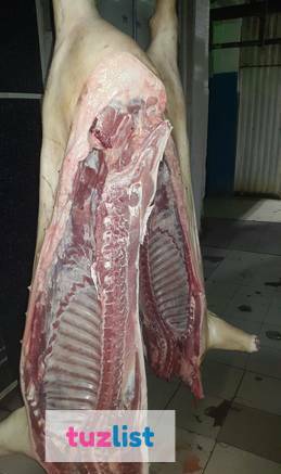 Фото Мясо свинины полутуши