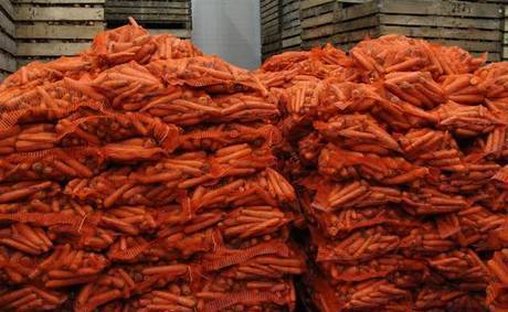 Фото Морковь оптом с полей! Низкая цена!