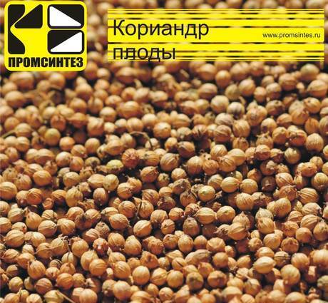 Фото Кориандр плоды 98% очистки, меш. 25 кг (Россия) НТ