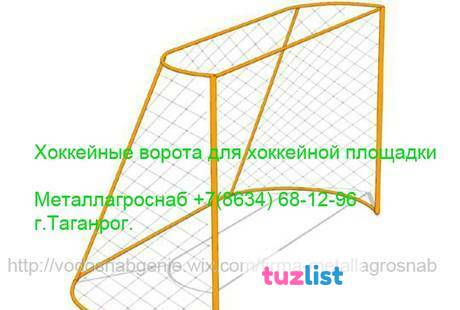 Фото Хоккейные Ворота для хоккейной площадки