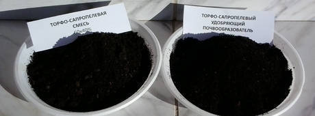 Фото Торфо-сапропелевый почвообразователь для озеленения Астаны