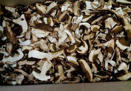 Фото Белый гриб сушёный продам оптом и в розницу