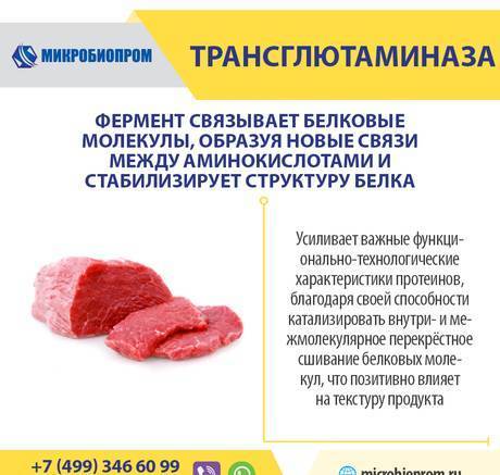 Фото Трансглютаминаза (ТГ) - Фермент для мяса и рыбы